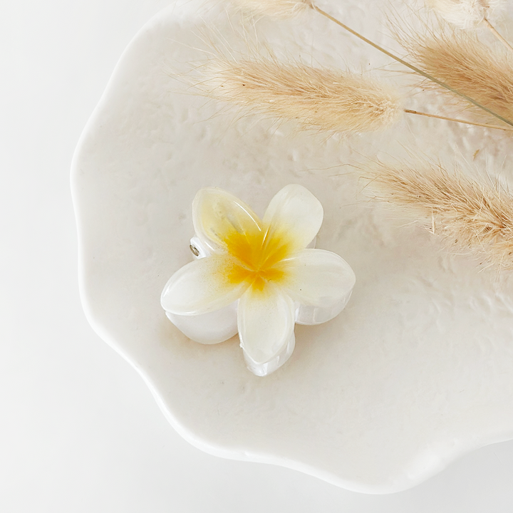 MINI TROPICAL FLOWER CLAW CLIP - 6 PACK