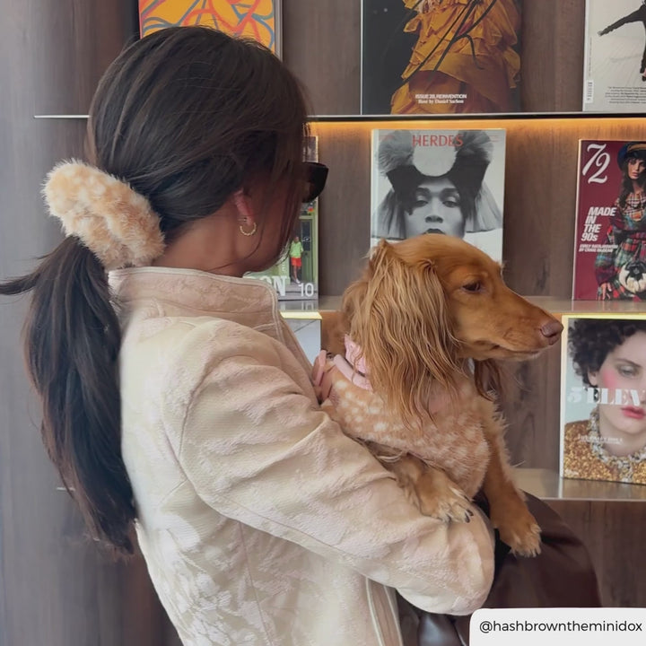 girl holding a dachshund has dark hair and a fluffy fawn scrunchie in her hair in a ponytail
